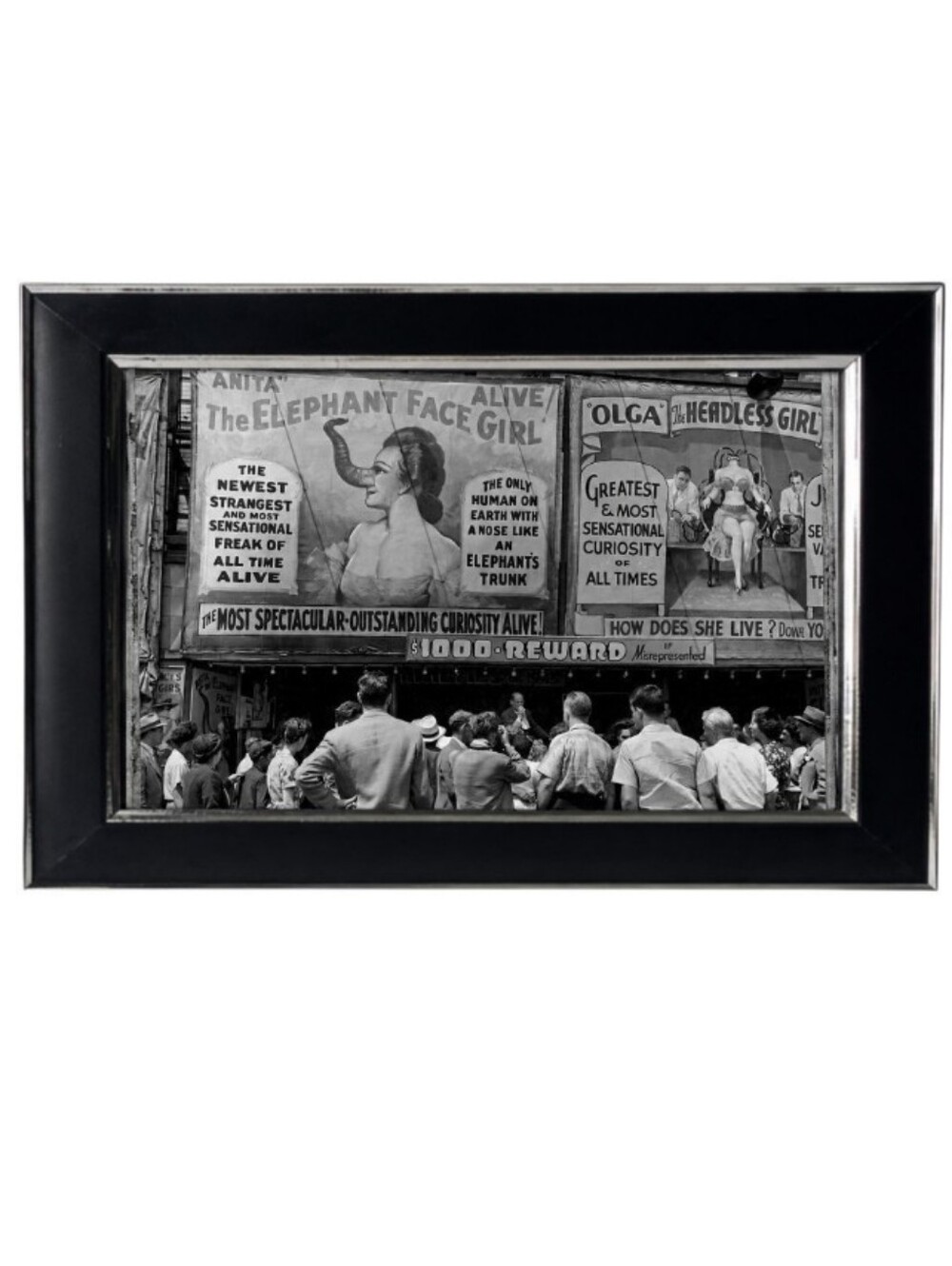 Freakshow Sideshow Carnival Circus Oddity Freaks oddities oddity. Curiosity